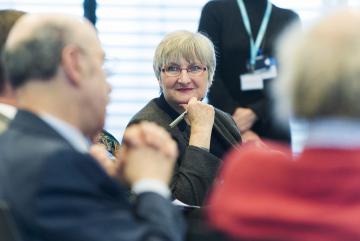 Professor Norman Rosenthal, Ms Helen Hanson. Professor Gerald Lincoln